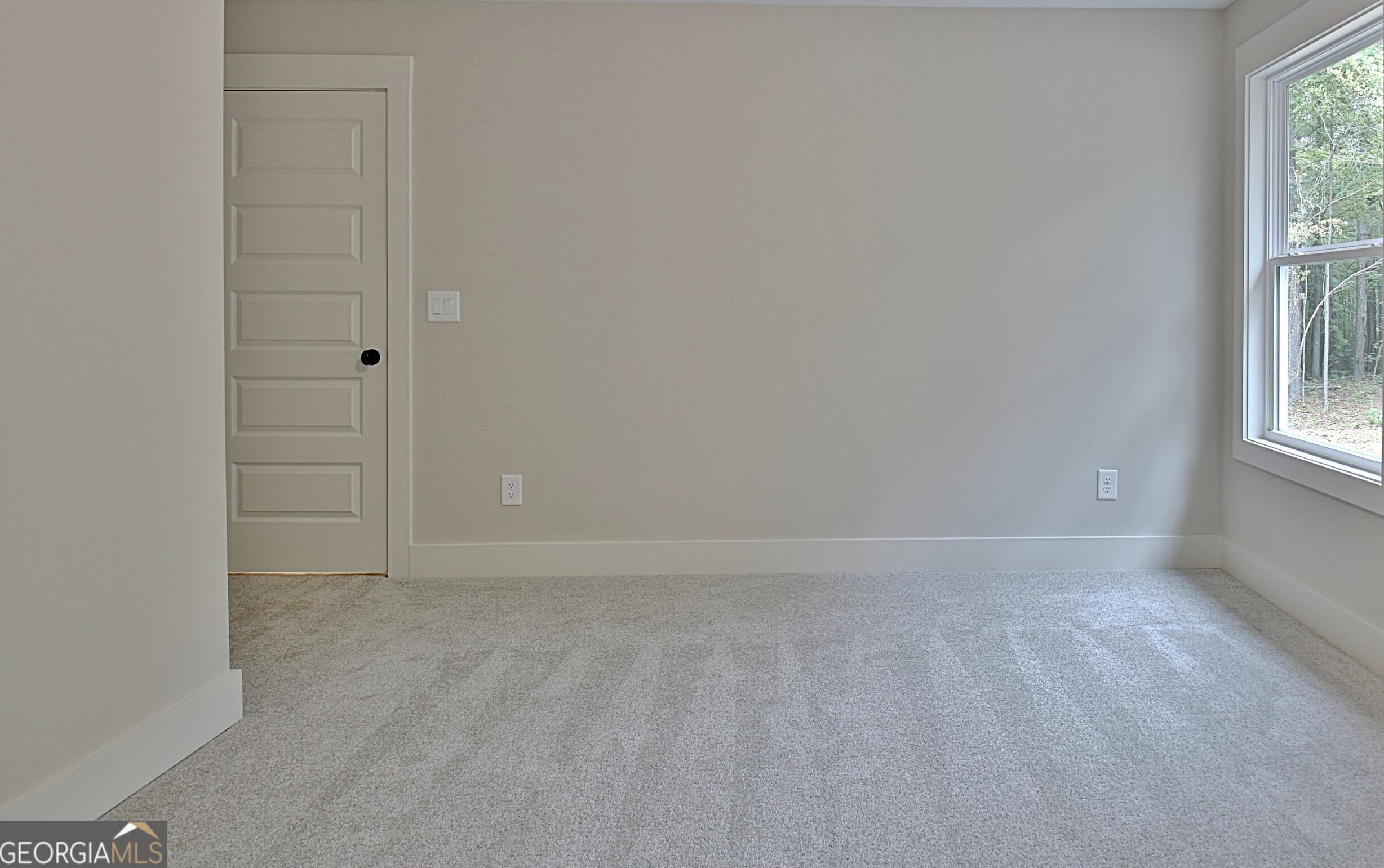 Photo #41