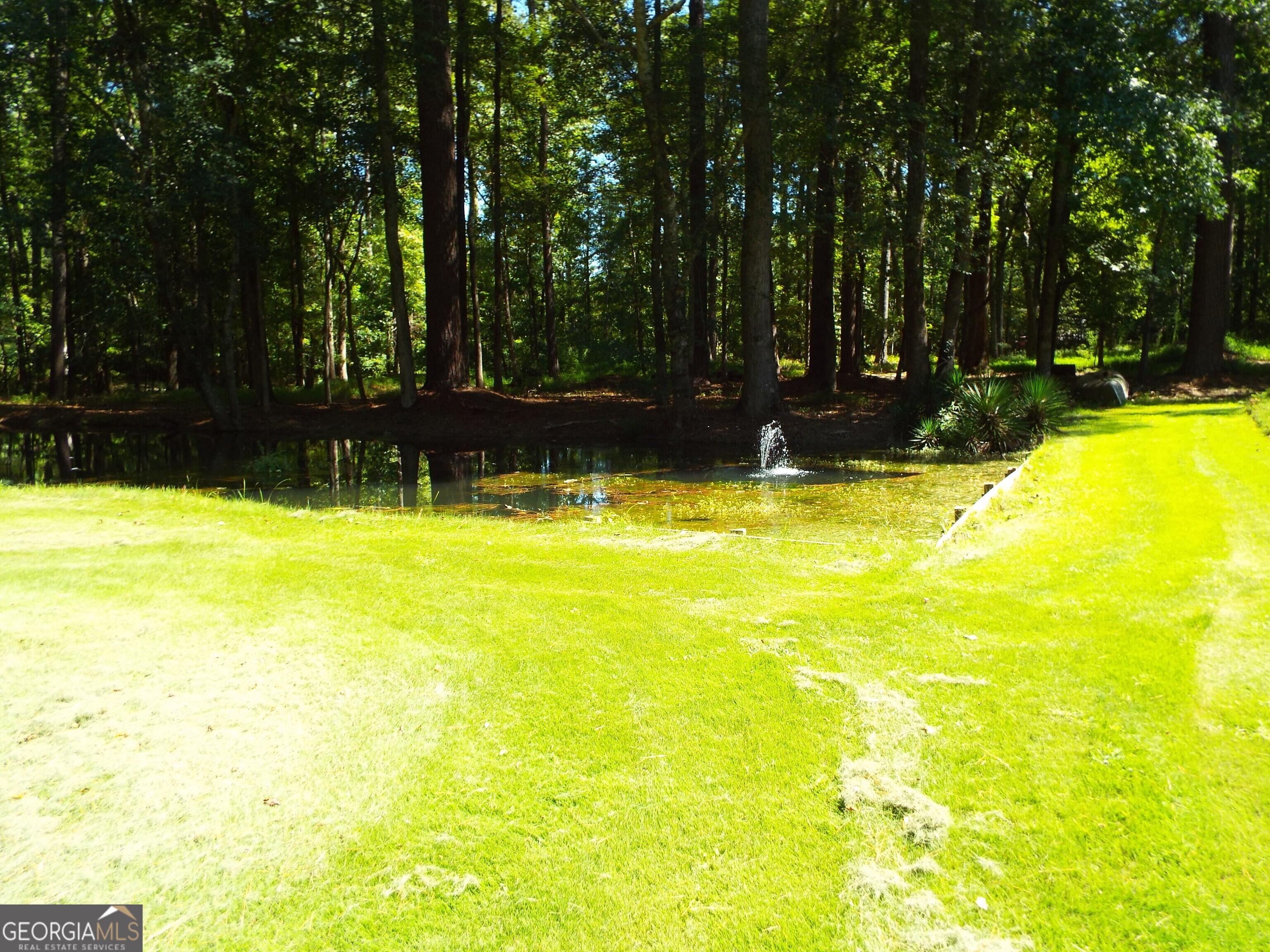 Photo #44