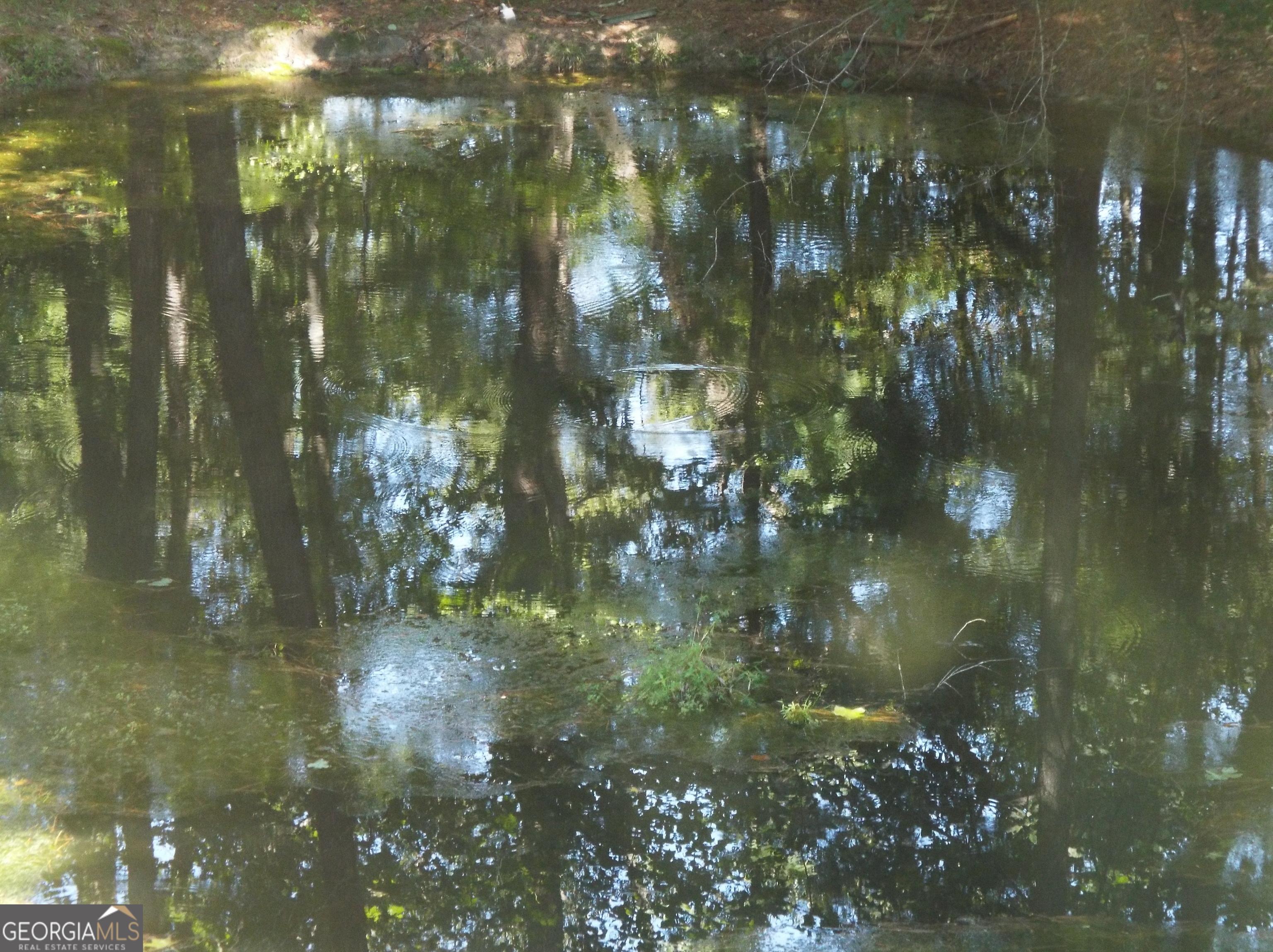 Photo #42