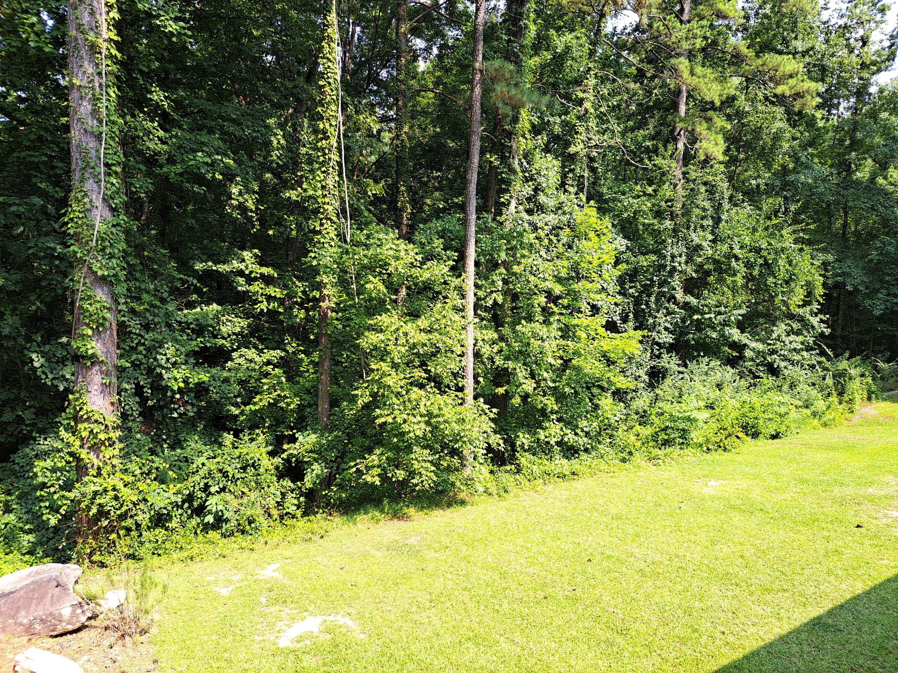 Photo #20