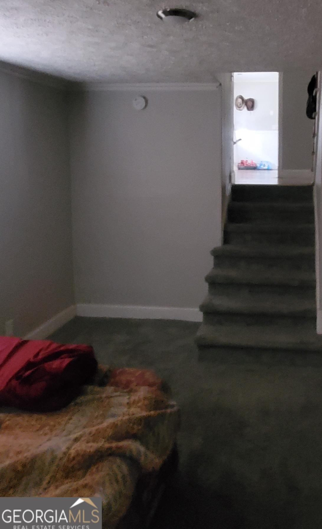 Photo #2