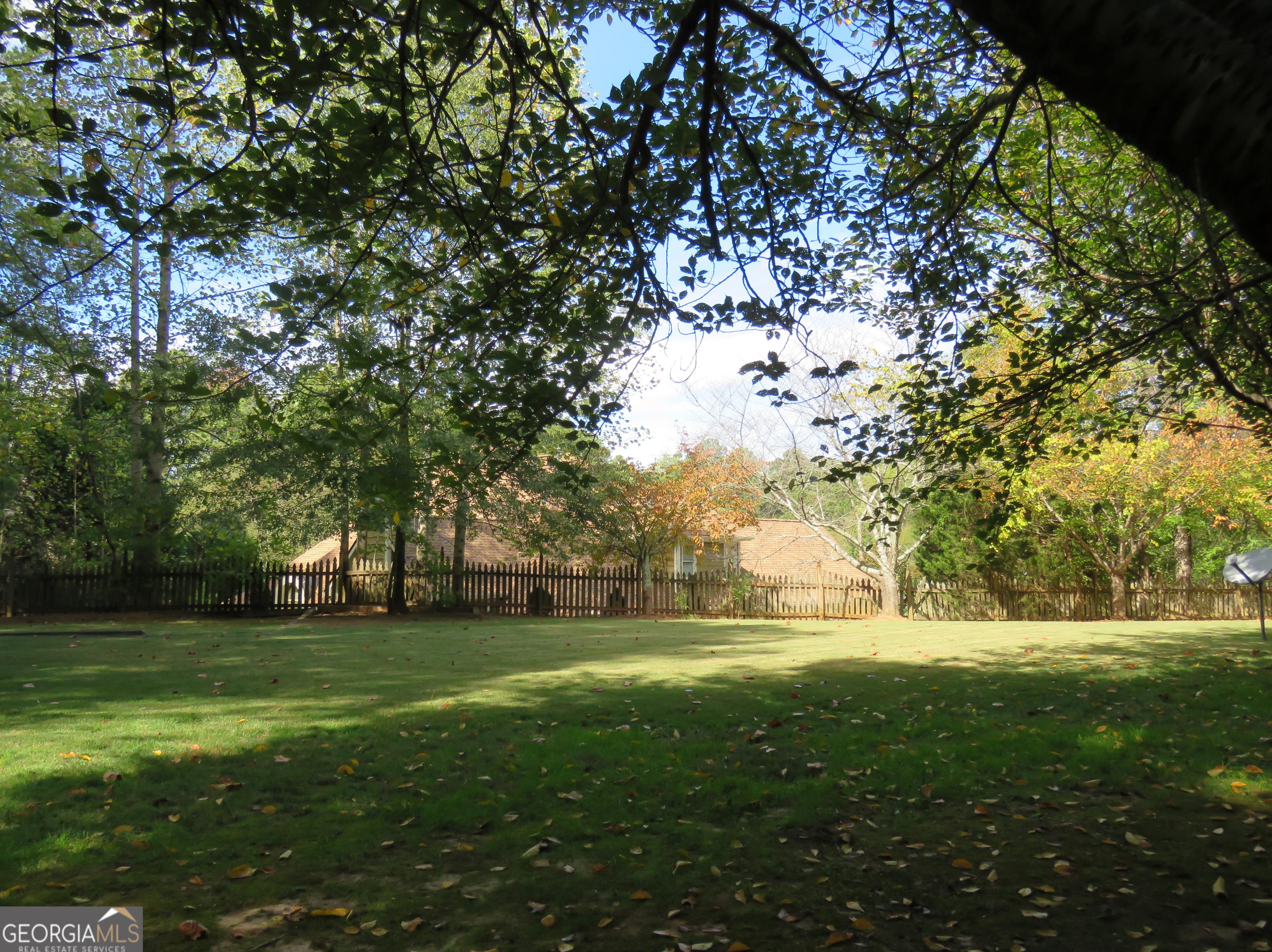 Photo #14