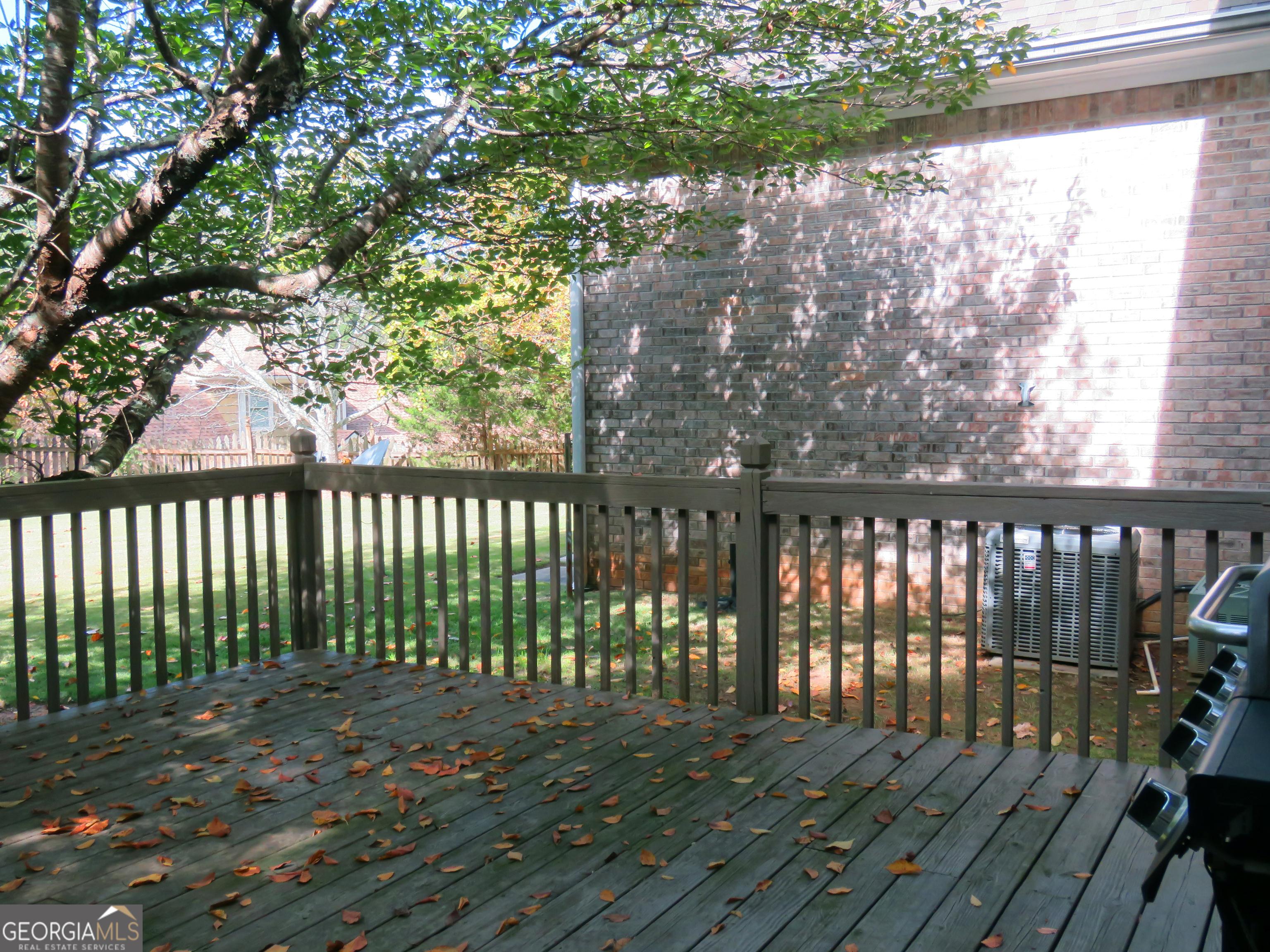 Photo #15