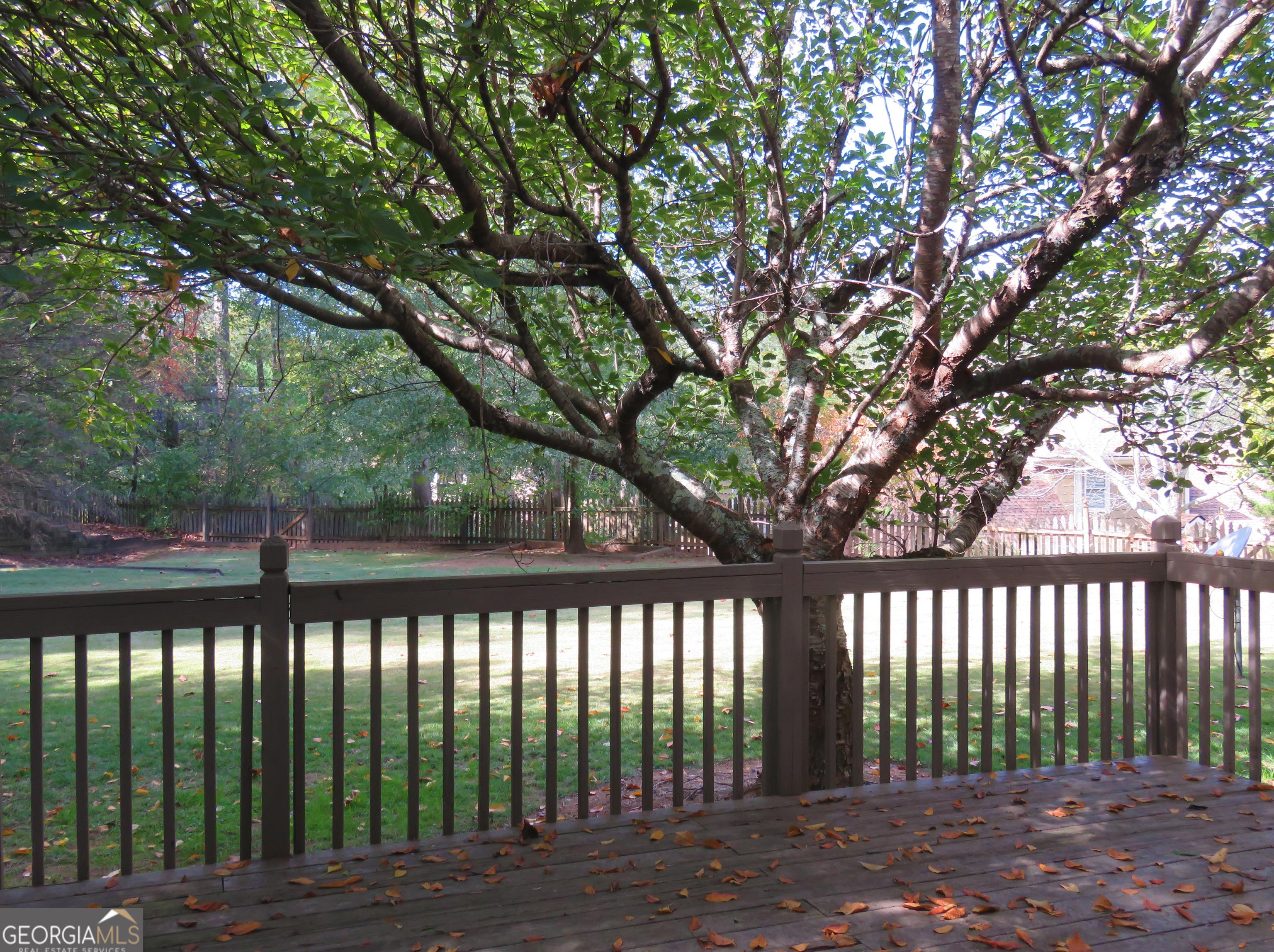 Photo #16