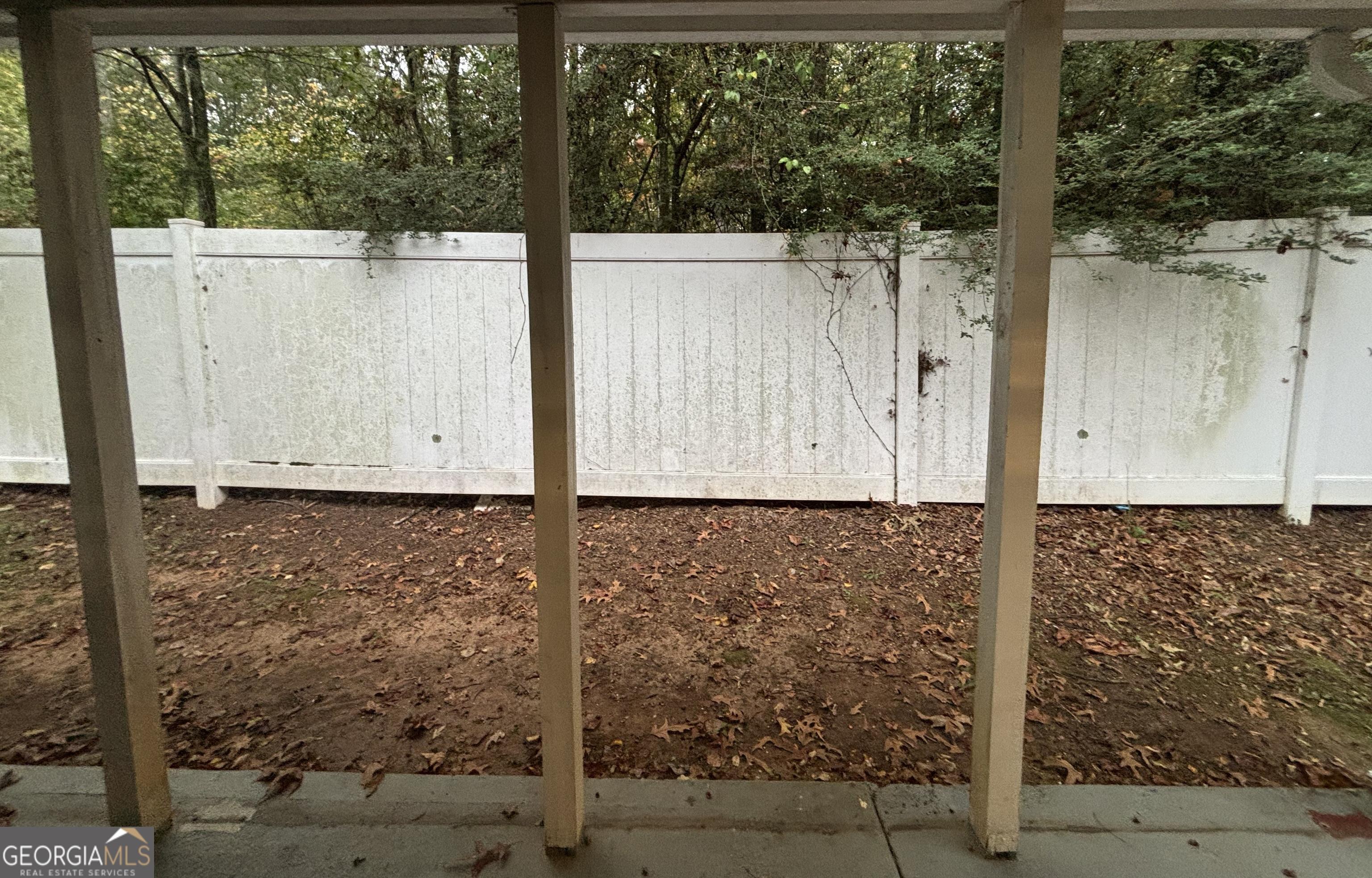 Photo #19