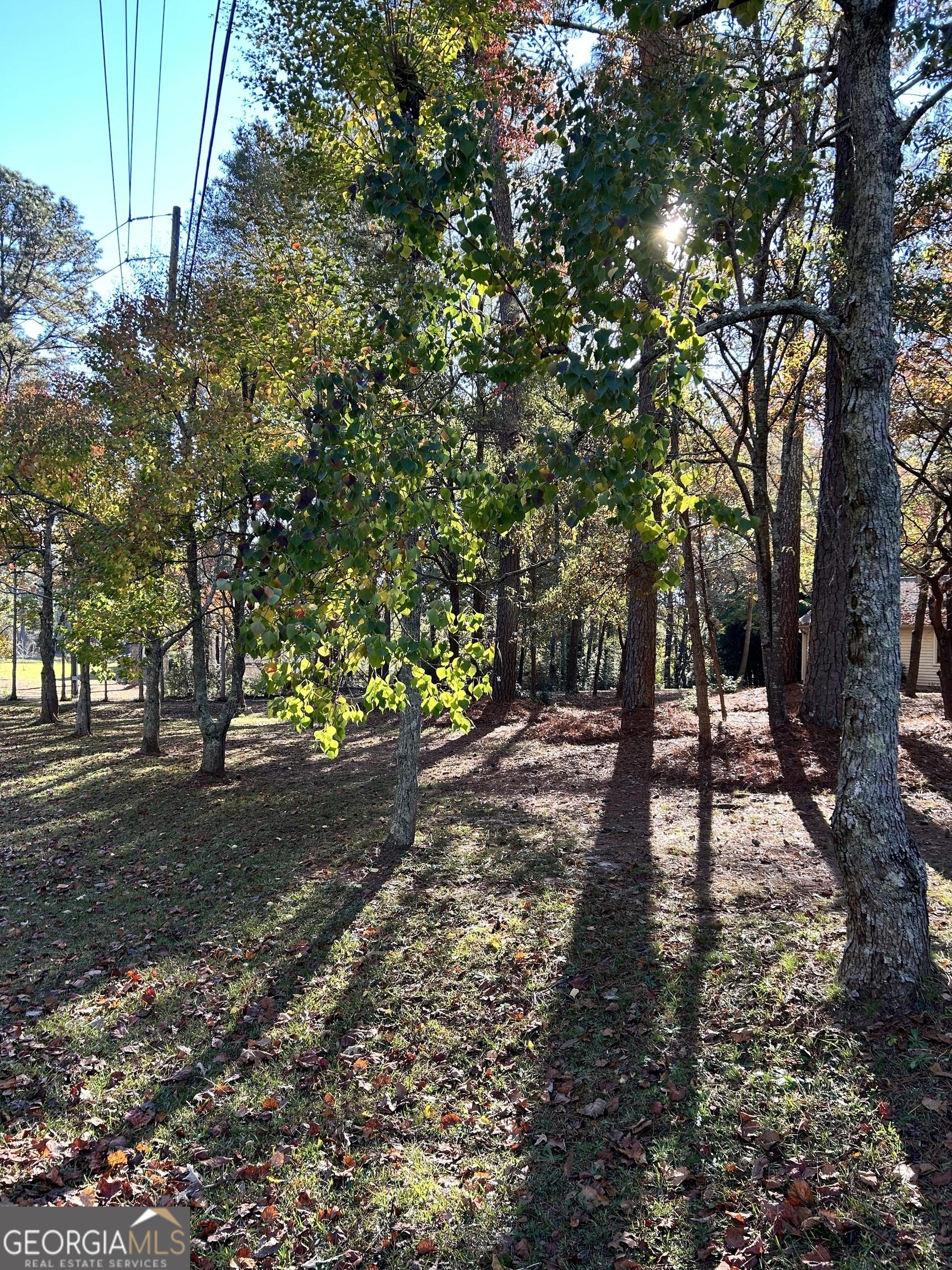 Photo #27