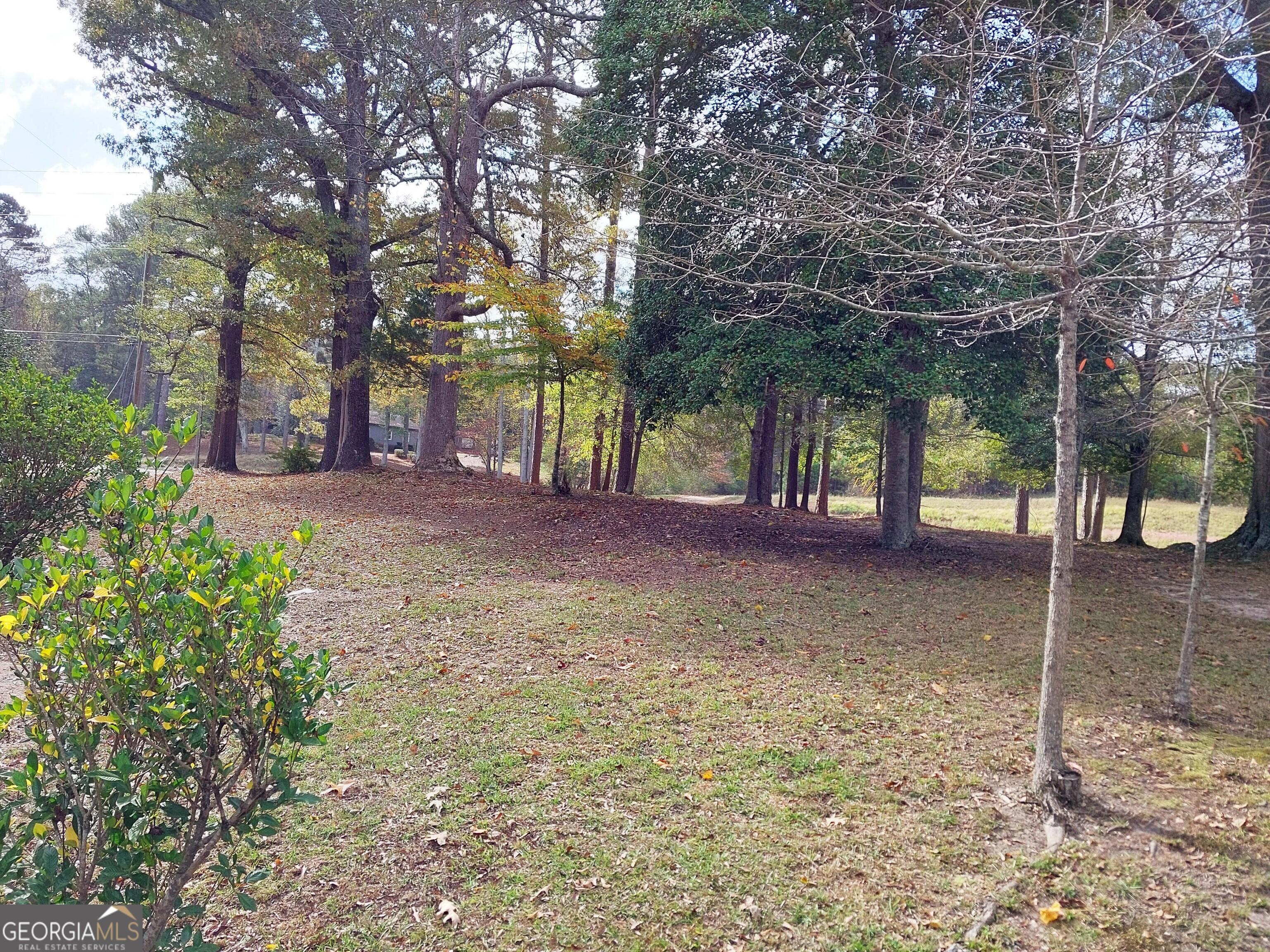 Photo #35