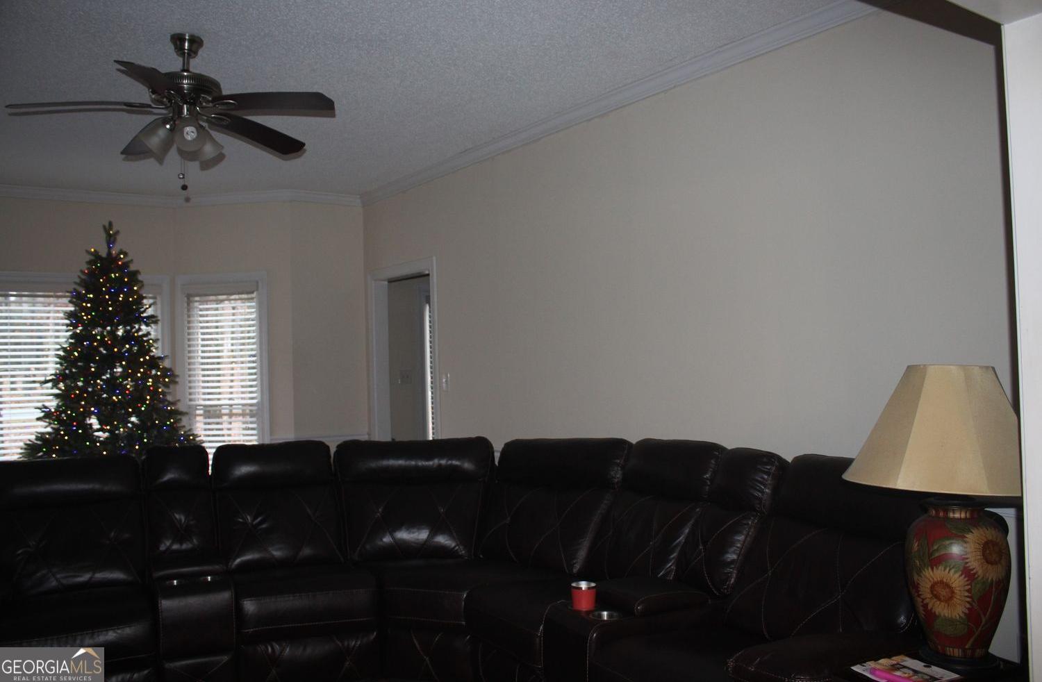 Photo #3