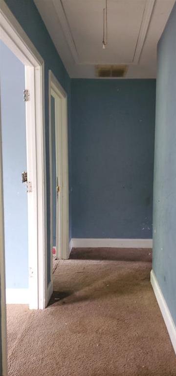 Photo #31