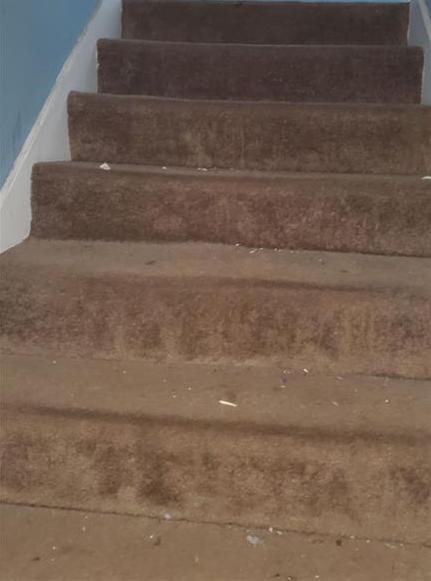 Photo #32
