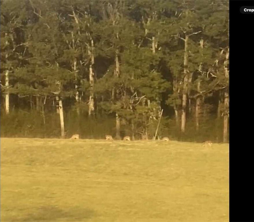 Photo #14