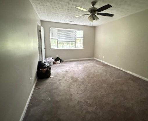 Photo #11