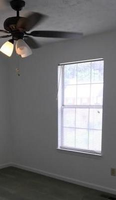 Photo #13