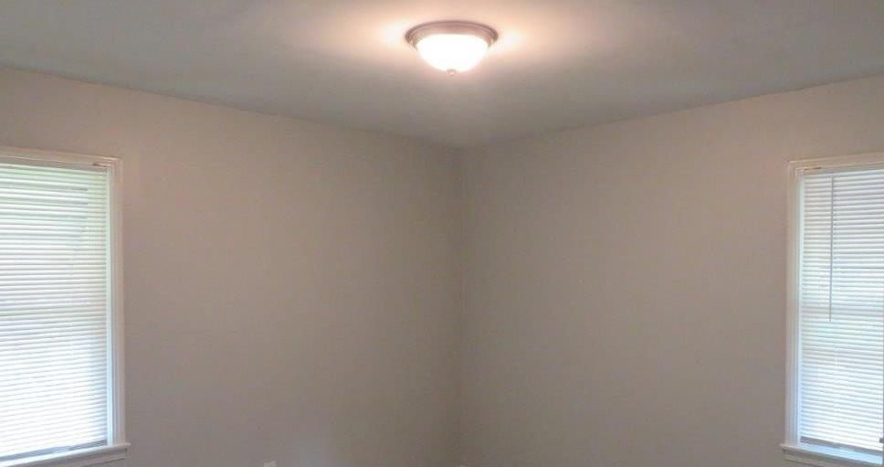 Photo #15