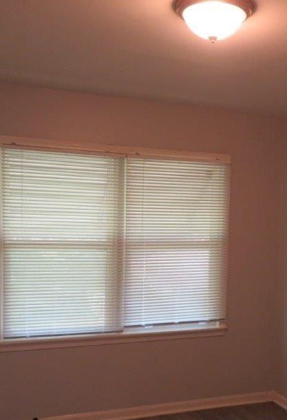 Photo #12