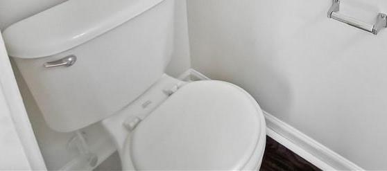 Photo #15