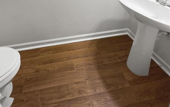 Photo #12