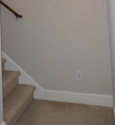 Photo #24