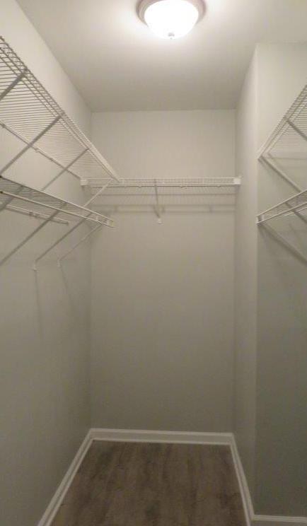 Photo #24
