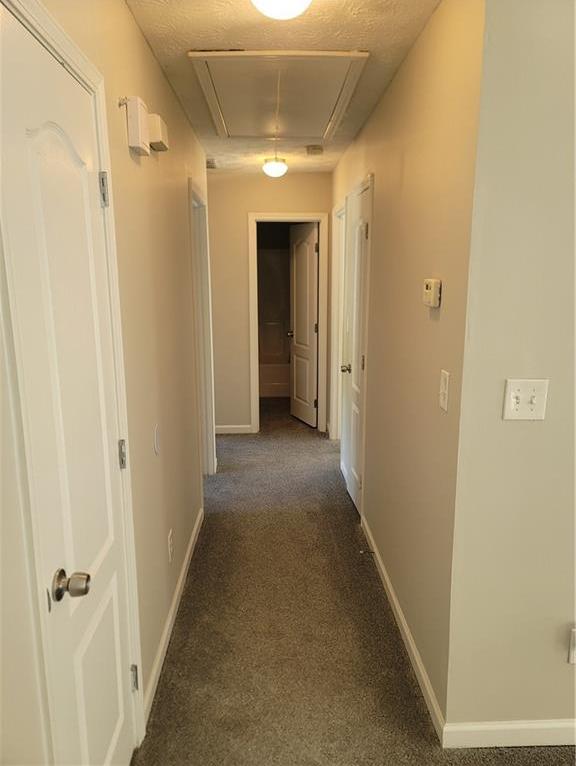Photo #8