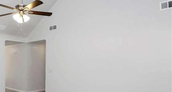 Photo #8