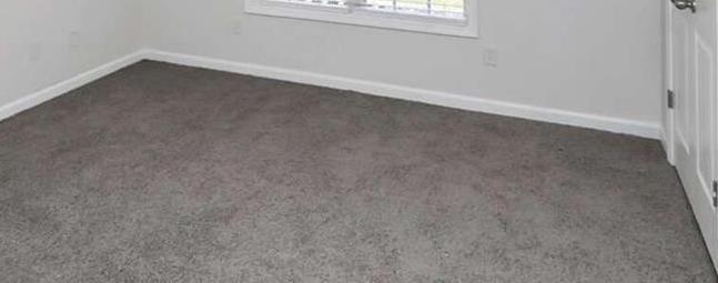 Photo #14