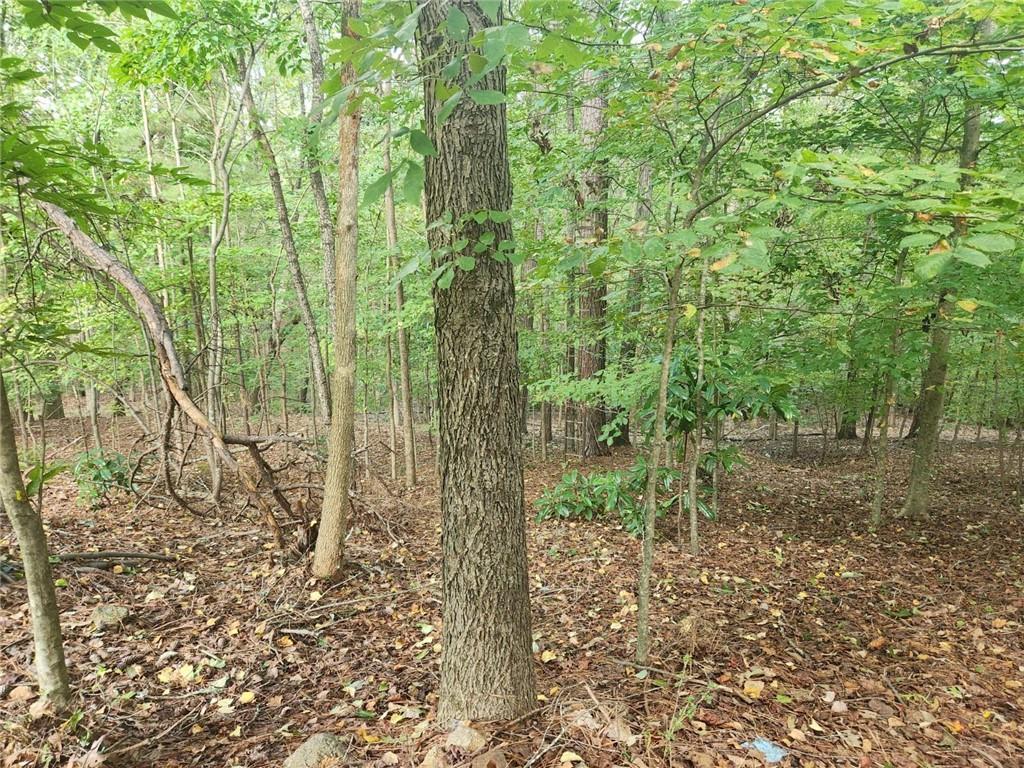 Photo #4