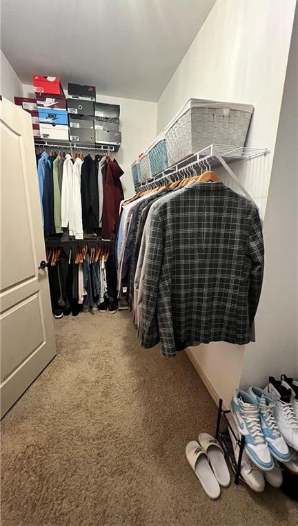 Photo #27