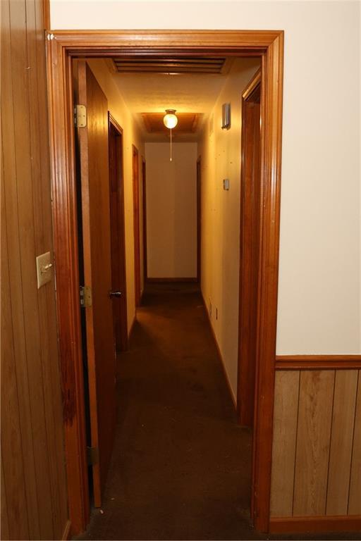 Photo #7