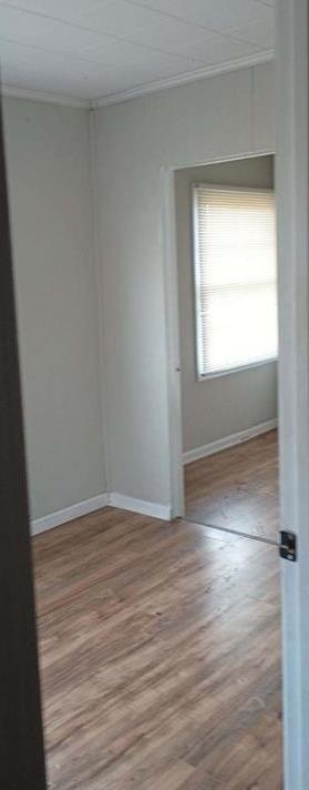 Photo #11