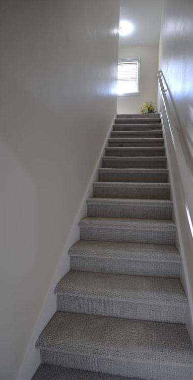 Photo #29
