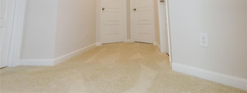 Photo #21