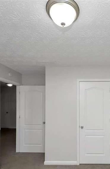 Photo #19