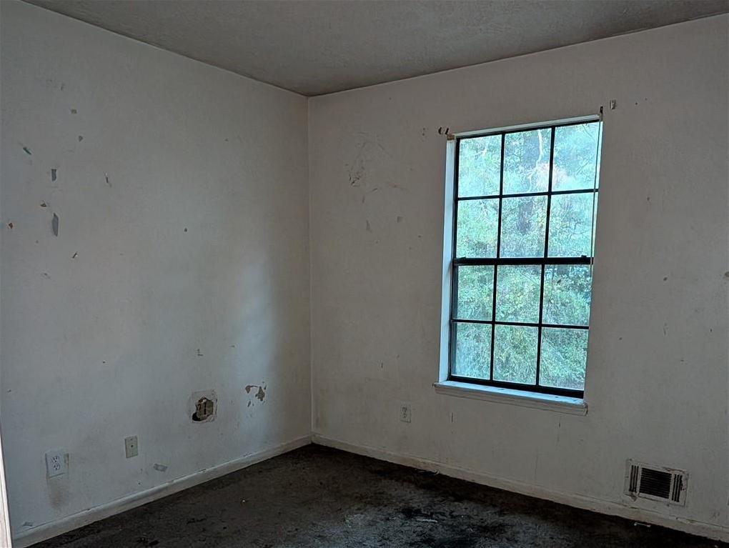 Photo #15