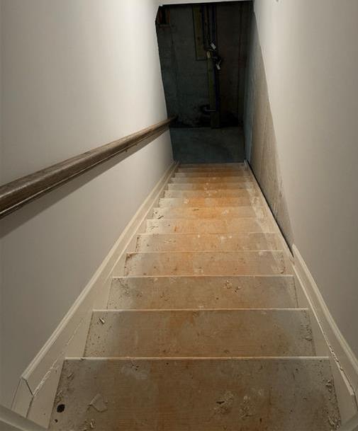 Photo #42