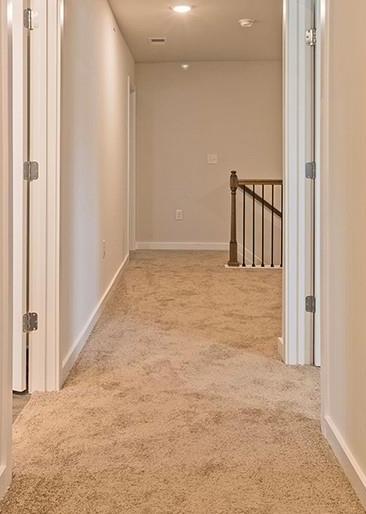 Photo #16