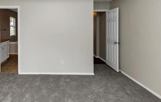 Photo #18