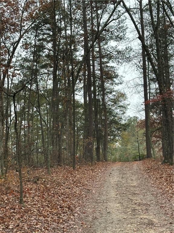 Photo #3