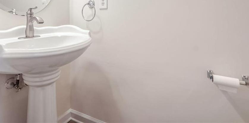 Photo #12