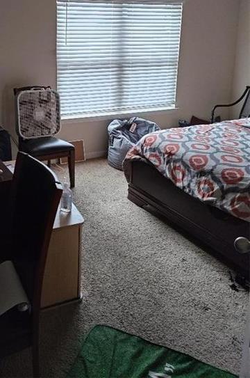 Photo #21
