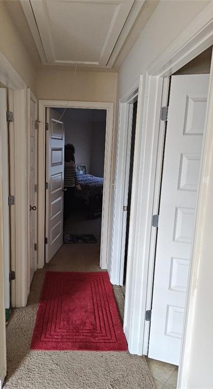 Photo #23