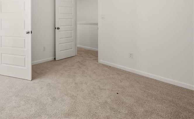 Photo #38