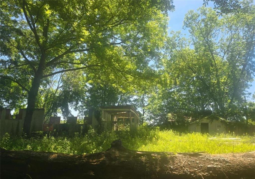 Photo #2