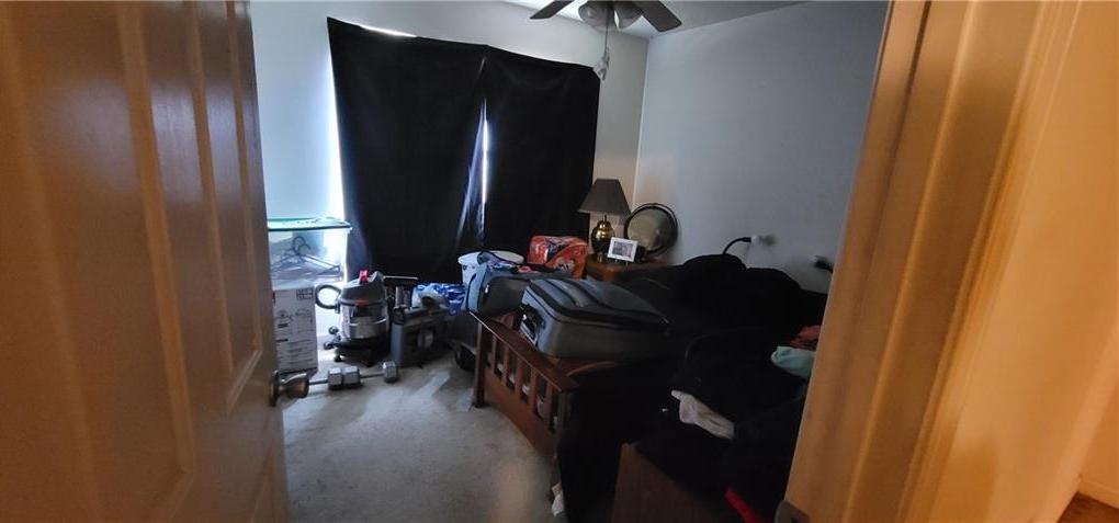 Photo #14