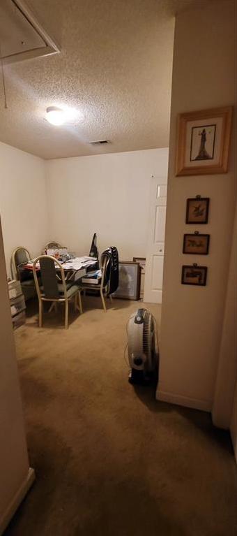 Photo #8