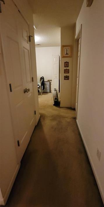 Photo #7
