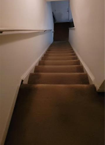 Photo #19