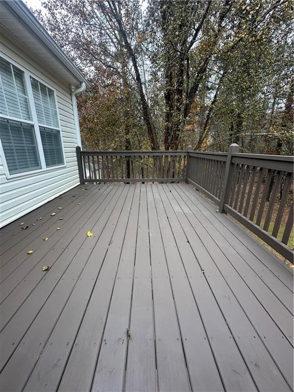Photo #41