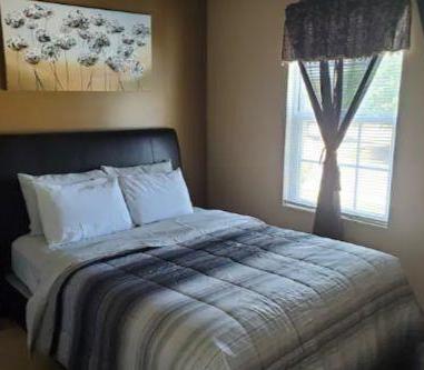 Photo #17
