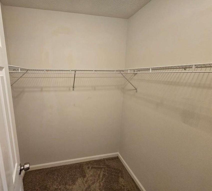 Photo #27